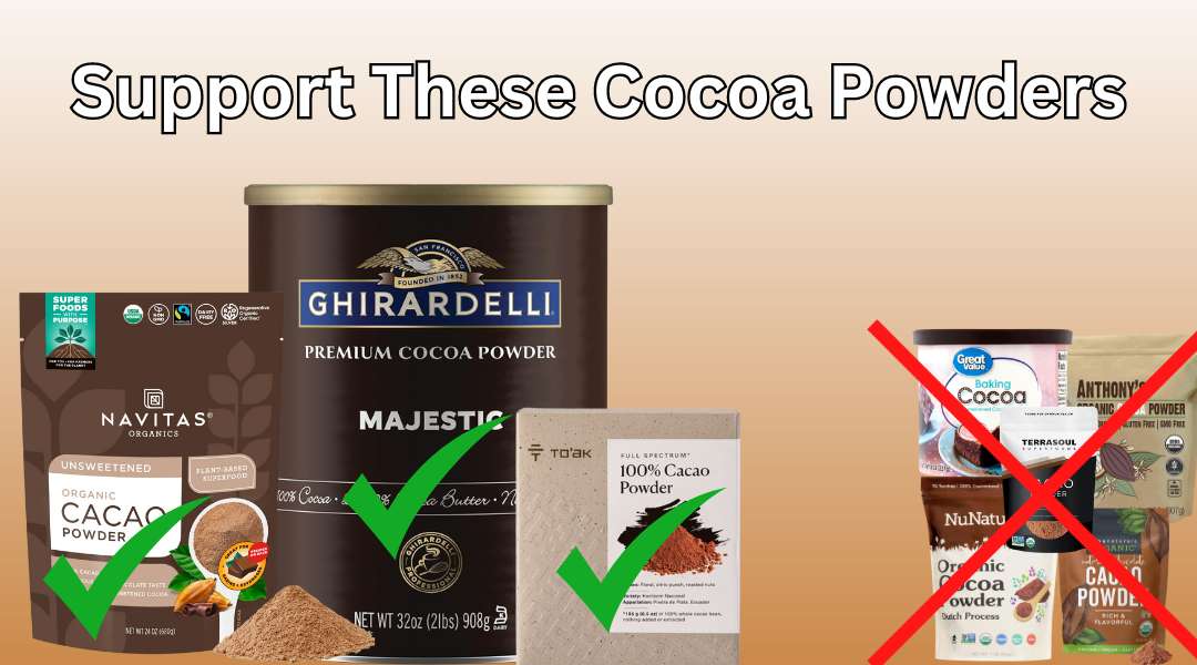 Read more about the article Best Cocoa Powders to Buy